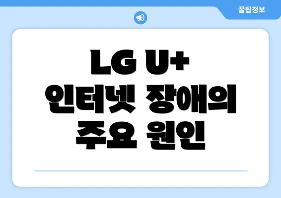 LG U+ 인터넷 장애의 주요 원인