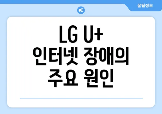 LG U+ 인터넷 장애의 주요 원인