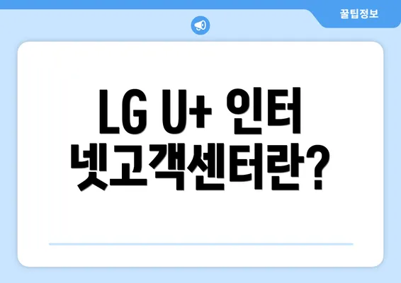 LG U+ 인터넷고객센터란?