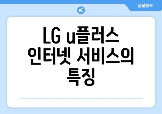 LG u플러스 인터넷 서비스의 특징