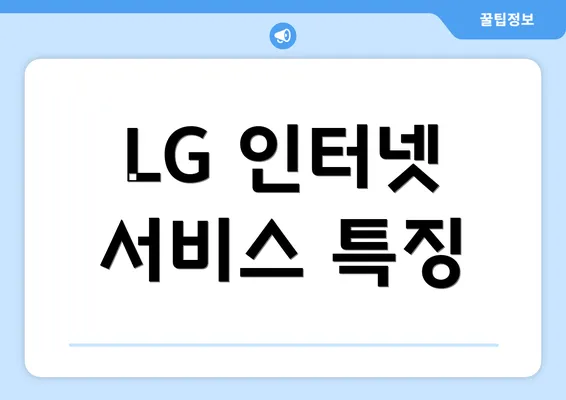 LG 인터넷 서비스 특징