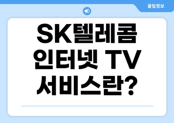 SK텔레콤 인터넷 TV 서비스란?