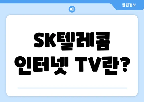 SK텔레콤 인터넷 TV란?