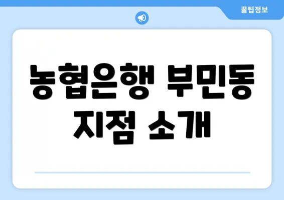 농협은행 부민동 지점 소개