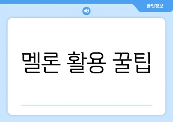 멜론 활용 꿀팁