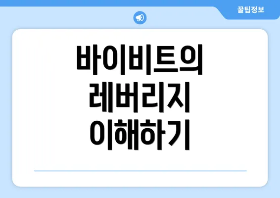 바이비트의 레버리지 이해하기