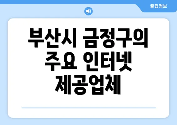 부산시 금정구의 주요 인터넷 제공업체