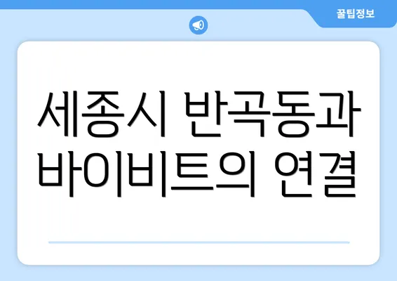 세종시 반곡동과 바이비트의 연결