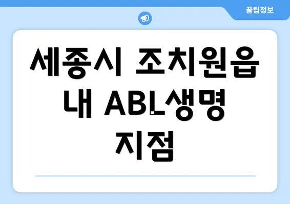 세종시 조치원읍 내 ABL생명 지점