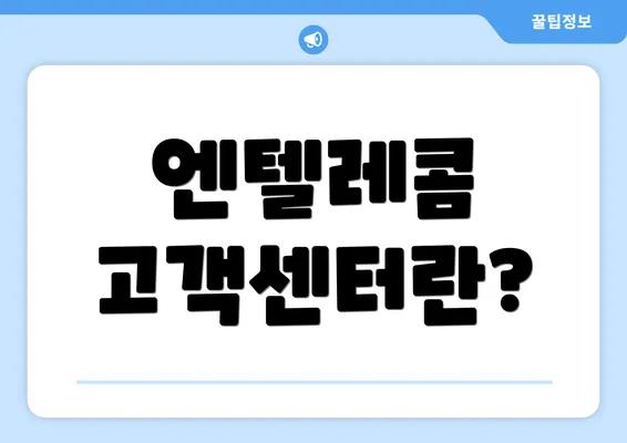 엔텔레콤 고객센터란?