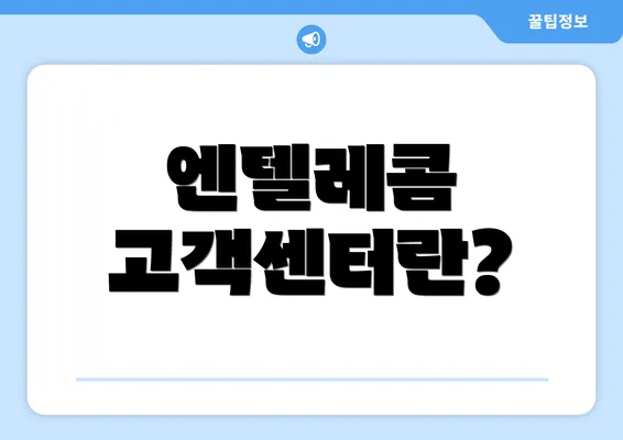 엔텔레콤 고객센터란?