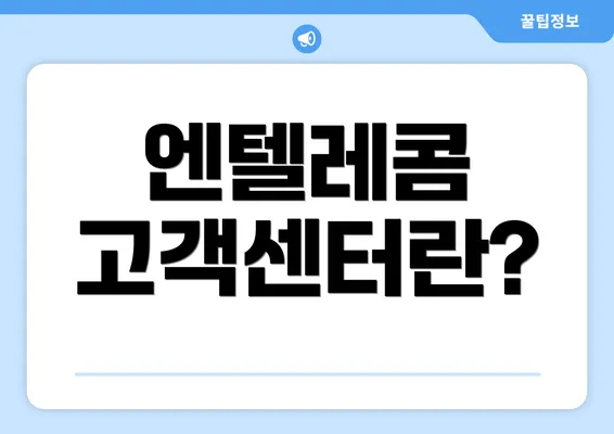 엔텔레콤 고객센터란?