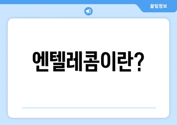 엔텔레콤이란?