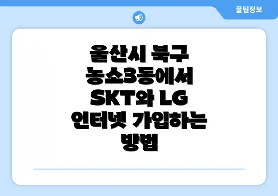 울산시 북구 농소3동에서 SKT와 LG 인터넷 가입하는 방법