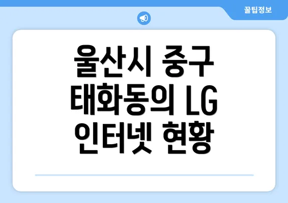 울산시 중구 태화동의 LG 인터넷 현황