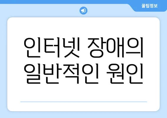 인터넷 장애의 일반적인 원인