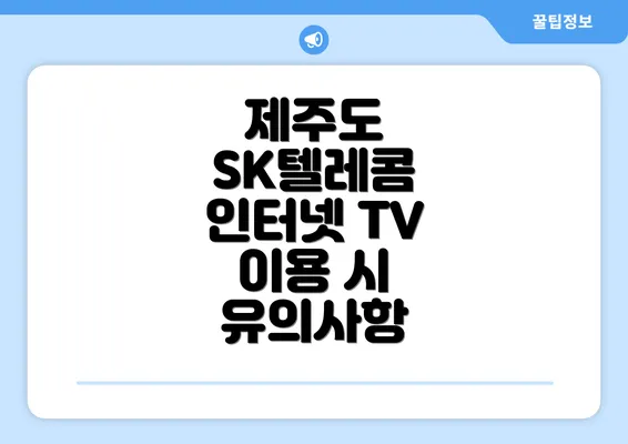 제주도 SK텔레콤 인터넷 TV 이용 시 유의사항