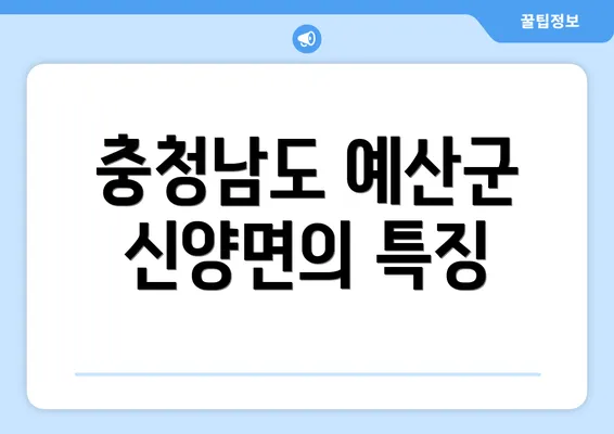 충청남도 예산군 신양면의 특징