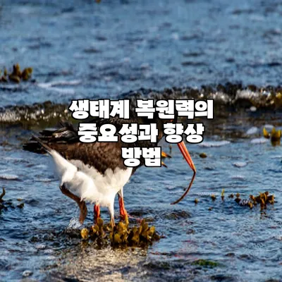 생태계 복원력의 중요성과 향상 방법 - 선물