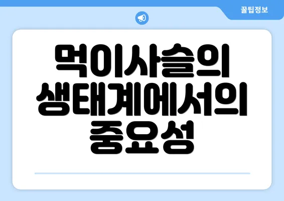 먹이사슬의 생태계에서의 중요성