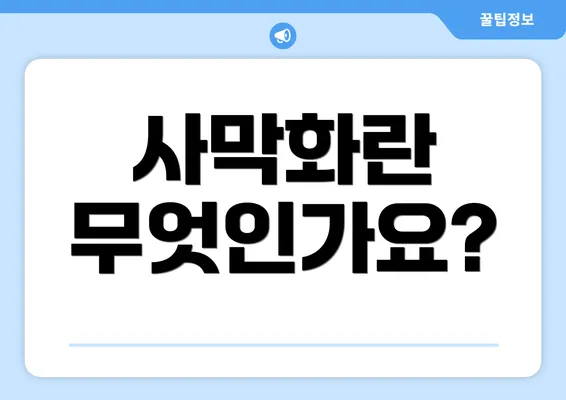 사막화란 무엇인가요?