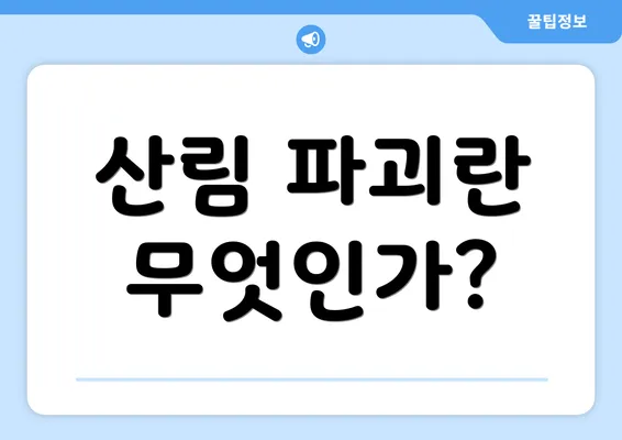 산림 파괴란 무엇인가?