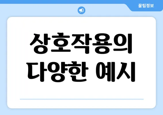 상호작용의 다양한 예시