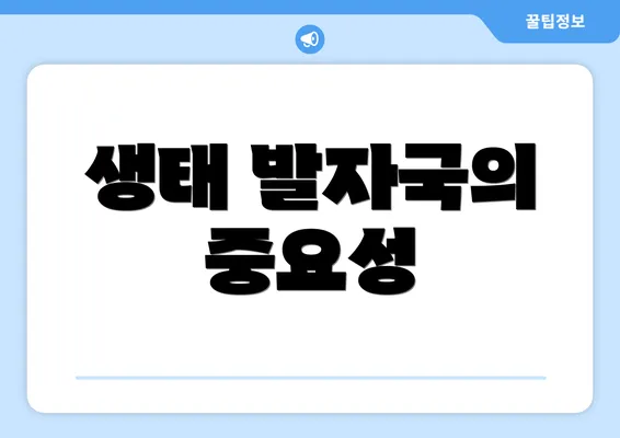 생태 발자국의 중요성