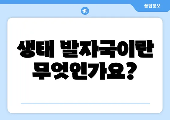 생태 발자국이란 무엇인가요?