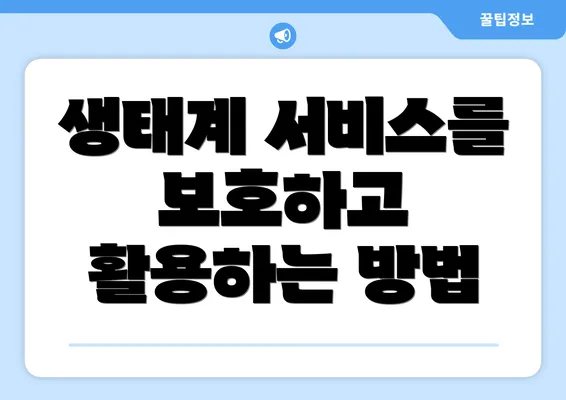 생태계 서비스를 보호하고 활용하는 방법