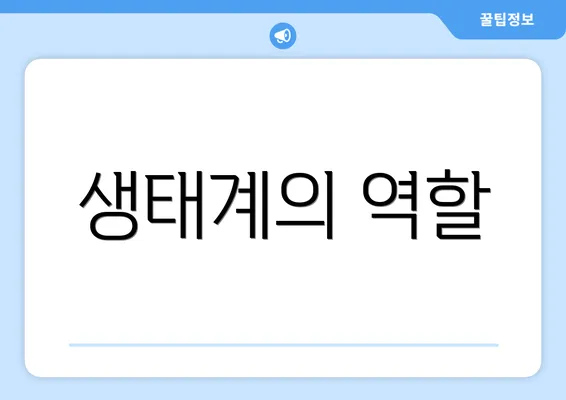 생태계의 역할