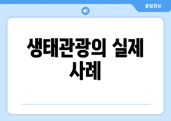 생태관광의 실제 사례