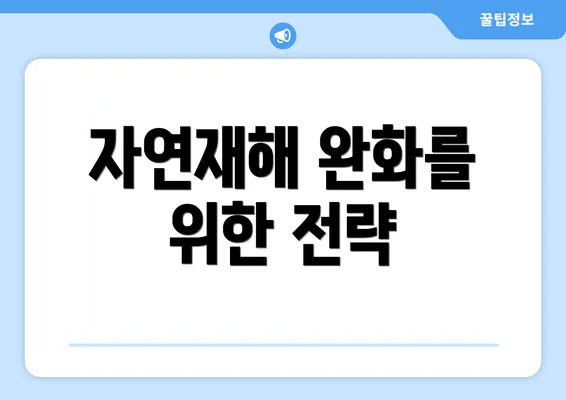 자연재해 완화를 위한 전략