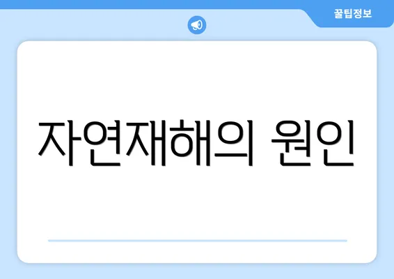 자연재해의 원인