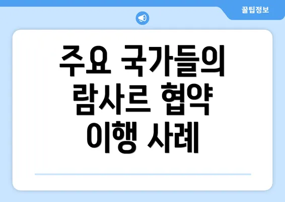 주요 국가들의 람사르 협약 이행 사례