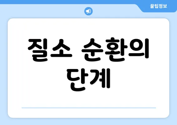 질소 순환의 단계