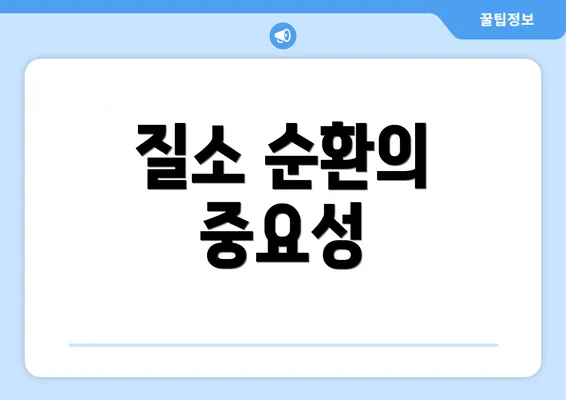 질소 순환의 중요성