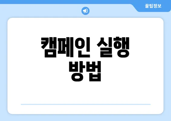캠페인 실행 방법