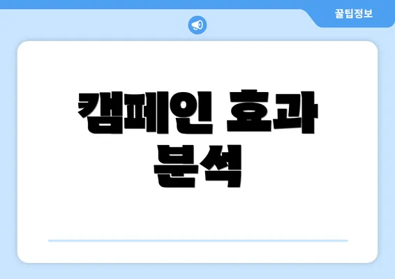 캠페인 효과 분석