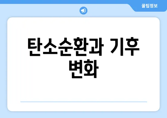 탄소순환과 기후 변화