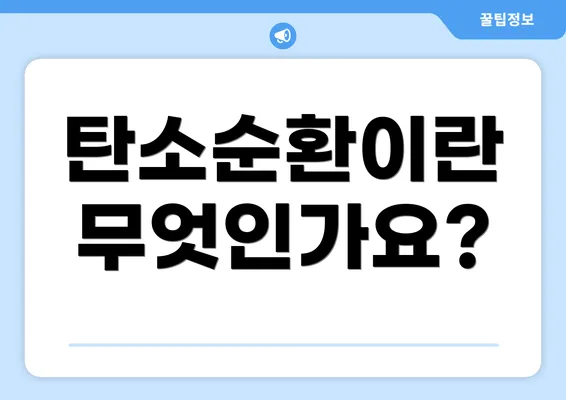 탄소순환이란 무엇인가요?