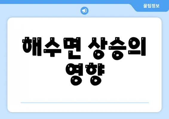 해수면 상승의 영향