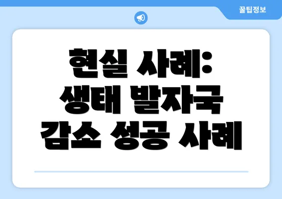 현실 사례: 생태 발자국 감소 성공 사례