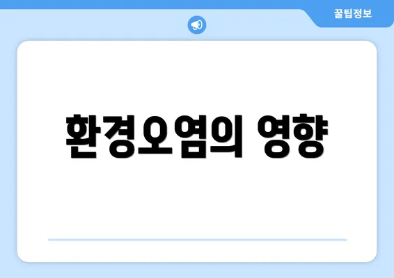 환경오염의 영향