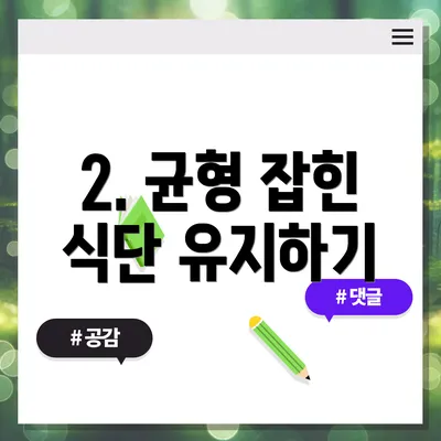 2. 균형 잡힌 식단 유지하기