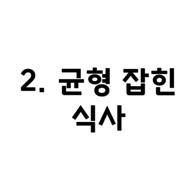 2. 균형 잡힌 식사