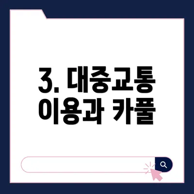 3. 대중교통 이용과 카풀