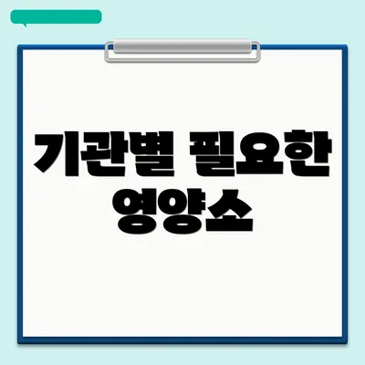 기관별 필요한 영양소