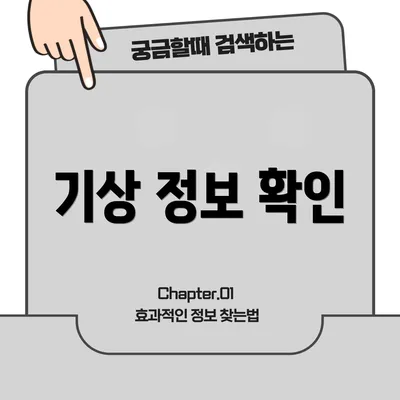 기상 정보 확인