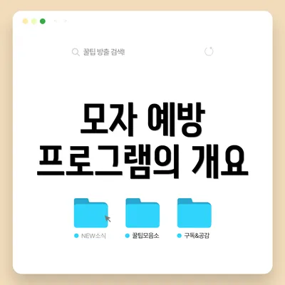 모자 예방 프로그램의 개요